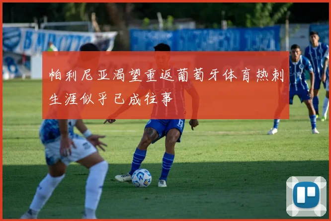帕利尼亚渴望重返葡萄牙体育热刺生涯似乎已成往事