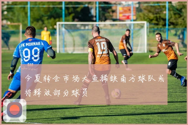今夏转会市场大鱼稀缺南方球队或将释放部分球员